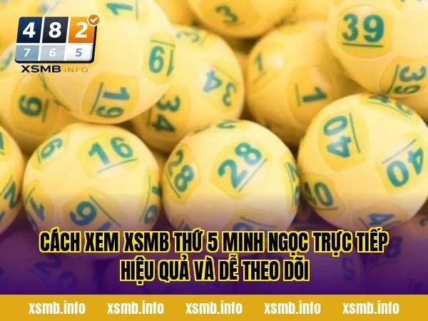 Cách xem XSMB thứ 5 Minh Ngọc trực tiếp hiệu quả và dễ theo dõi