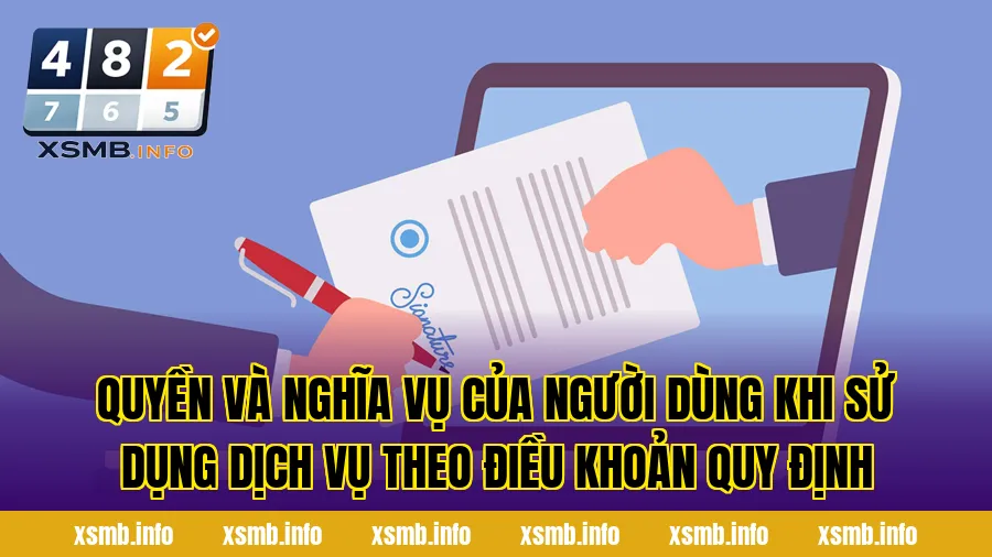 Quyền và nghĩa vụ của người dùng khi sử dụng dịch vụ theo điều khoản quy định