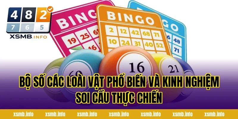Bộ Số Các Loài Vật Phổ Biến và kinh nghiệm soi cầu thực chiến