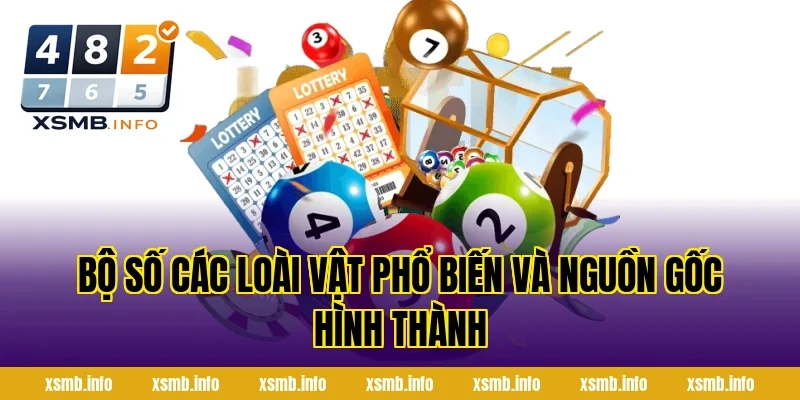 Bộ Số Các Loài Vật Phổ Biến và nguồn gốc hình thành
