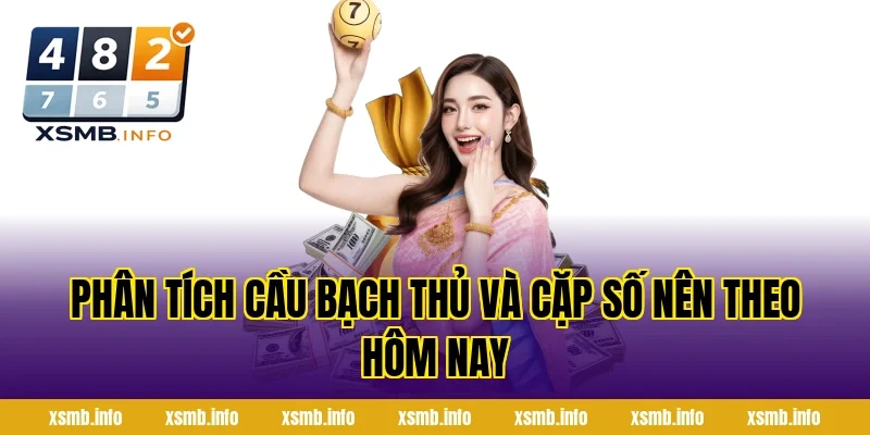 Phân Tích Cầu Bạch Thủ Và Cặp Số Nên Theo Hôm Nay