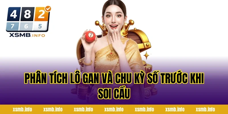 Phân Tích Lô Gan Và Chu Kỳ Số Trước Khi Soi Cầu