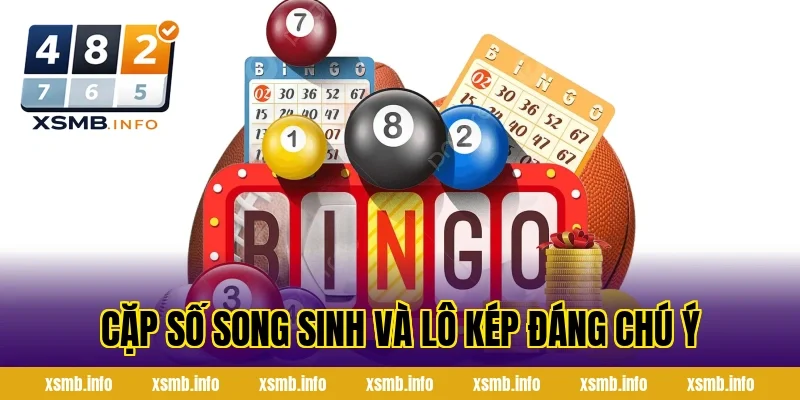 Cặp Số Song Sinh Và Lô Kép Đáng Chú Ý