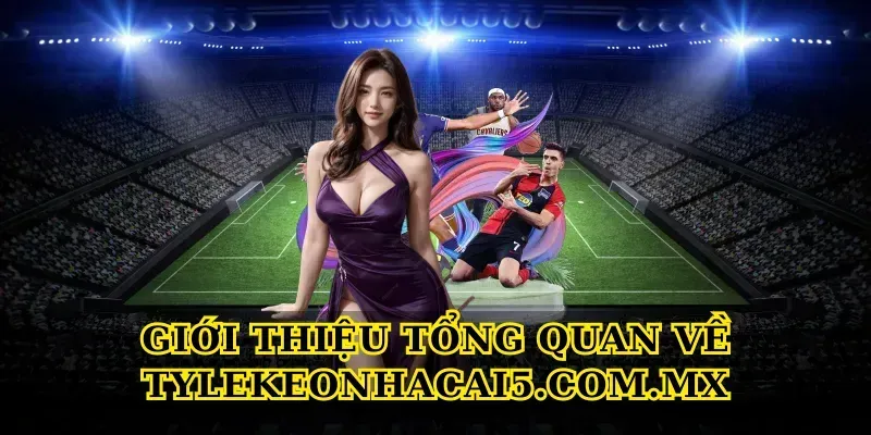 Giới thiệu tổng quan về seniorhosting.io